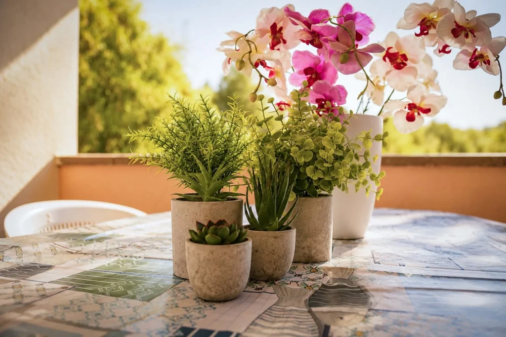 Piantine grasse in piccoli vasi di cemento e orchidee rosa su un tavolo con tovaglia a motivi marini nella terrazza a Cariati.