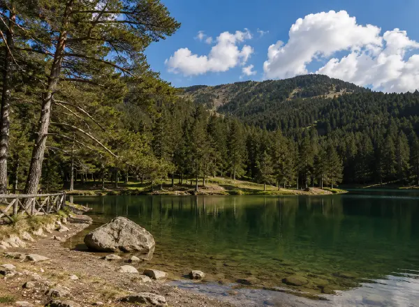 Paesaggio lacustre circondato dai boschi nel Parco Nazionale della Sila