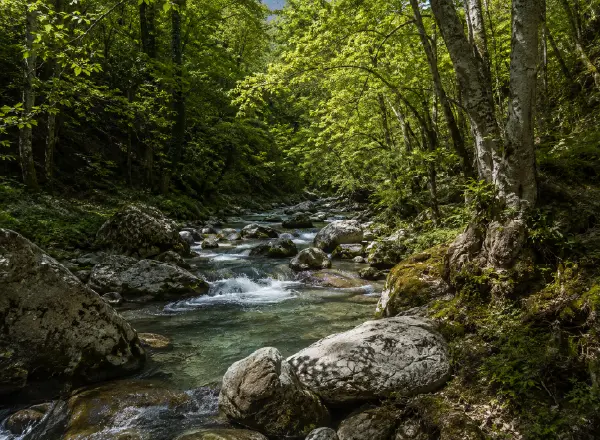 Torrente tra rocce e bosco nel Parco Regionale delle Serre in Calabria