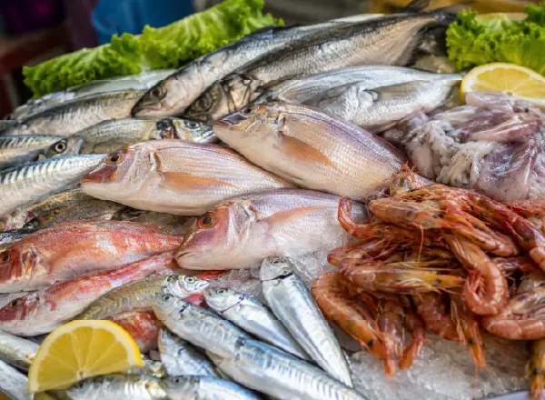 Pescato locale con pesce fresco, gamberi e calamari